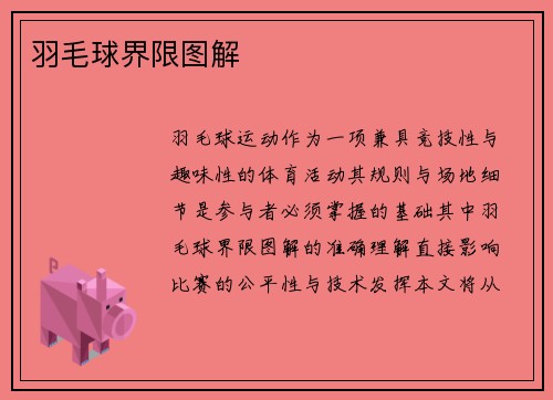羽毛球界限图解
