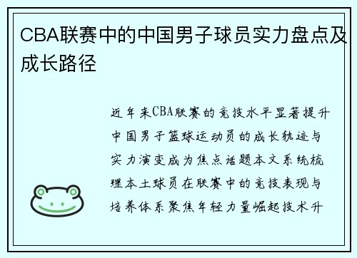 CBA联赛中的中国男子球员实力盘点及成长路径
